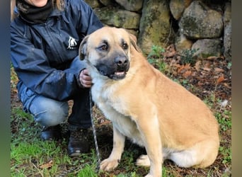 Joonas - wohin führt sein Weg?