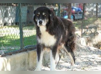 Kuno - Ein Ende in Sicht?