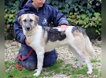 Skitter - Im gedimmten Licht, vor einer geschlossenen Tür