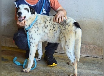 Arleene - ist voll bedingungsloser Liebe