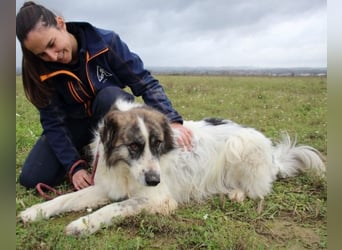 Poncio - wird zum Musterschüler