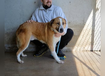 Scotlee - Drei Leben. Drei Chancen.