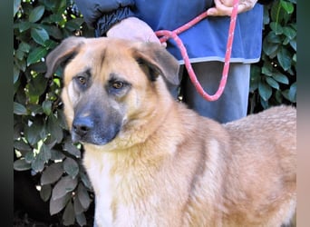 Anthaniel - Groß genug für "Wow" - zu charmant für "Weiter".