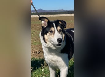 Giangy - Lebens- und Liebesverlängernde Maßnahmen