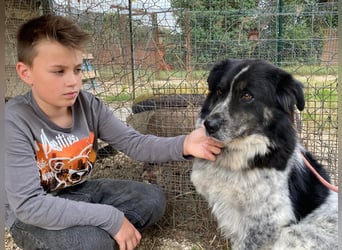 Ray - Zeig mir die Welt außerhalb des Zwingers...