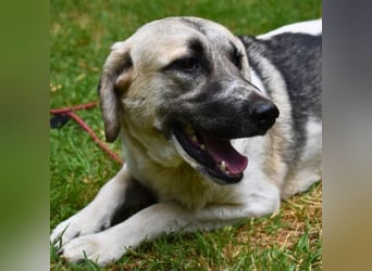 Skitter - Im gedimmten Licht, vor einer geschlossenen Tür