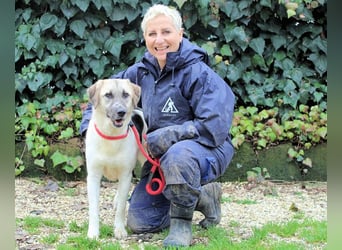 Skitter - Im gedimmten Licht, vor einer geschlossenen Tür