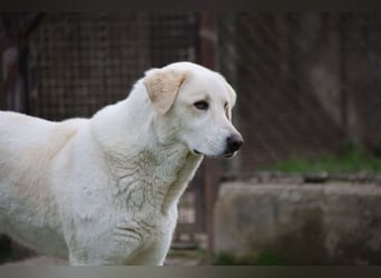 Clara - geht ihren Weg weiter