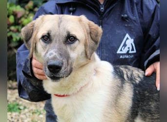 Skitter - Im gedimmten Licht, vor einer geschlossenen Tür