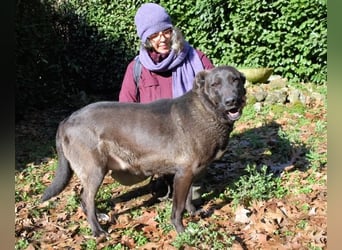 Godfried - When the night has come