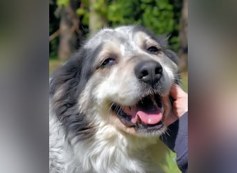 Daiana - der Beginn einer wunderbaren Freundschaft