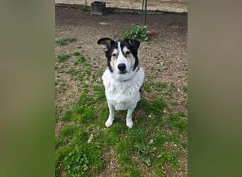 Giangy - Lebens- und Liebesverlängernde Maßnahmen