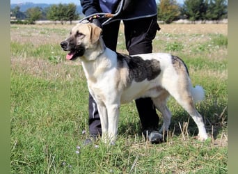 Skitter - Im gedimmten Licht, vor einer geschlossenen Tür