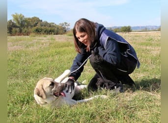 Skitter - Im gedimmten Licht, vor einer geschlossenen Tür