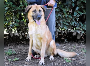 Anthaniel - Groß genug für "Wow" - zu charmant für "Weiter".