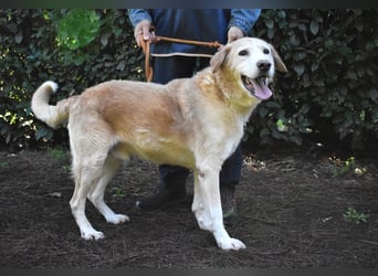 Islay - Menschenherzen-im-Sturm-Eroberer