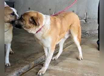 Savery - Drei Leben. Drei Chancen.