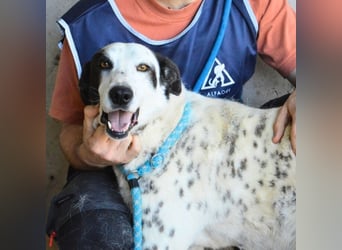 Arleene - ist voll bedingungsloser Liebe