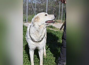 Clara - geht ihren Weg weiter