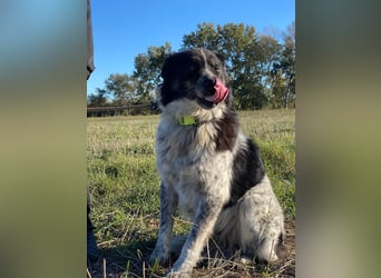 Ray - Zeig mir die Welt außerhalb des Zwingers...