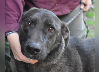 Godfried - When the night has come