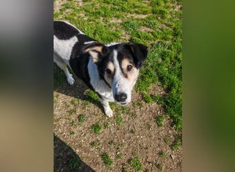 Giangy - Lebens- und Liebesverlängernde Maßnahmen