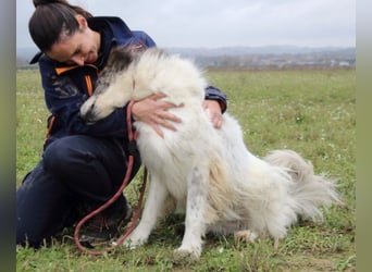 Poncio - wird zum Musterschüler