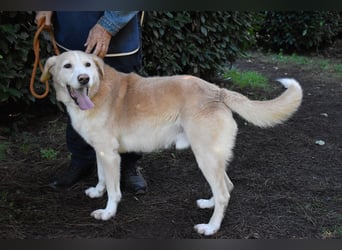 Islay - Menschenherzen-im-Sturm-Eroberer