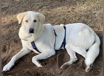 Clara - geht ihren Weg weiter