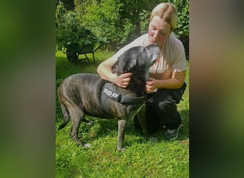 Ohara - NOTFALL -Wenn man ganz allein zurückbleibt