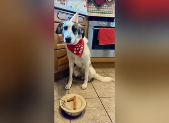 Nelly sucht dich - Groß, liebenswert und voller Herz
