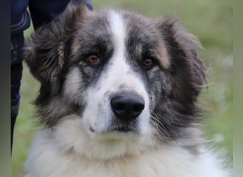 Poncio - wird zum Musterschüler