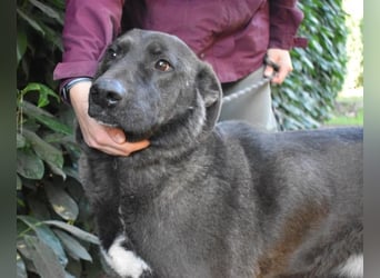 Godfried - When the night has come