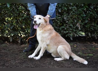 Islay - Menschenherzen-im-Sturm-Eroberer