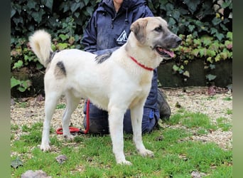 Skitter - Im gedimmten Licht, vor einer geschlossenen Tür