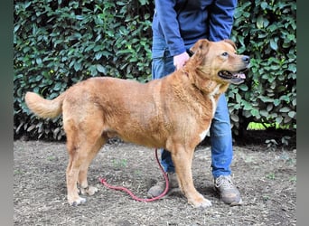 Vivaldo - ...steht vor der falschen Tür