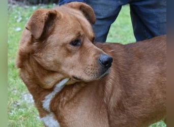 Vivaldo - ...steht vor der falschen Tür