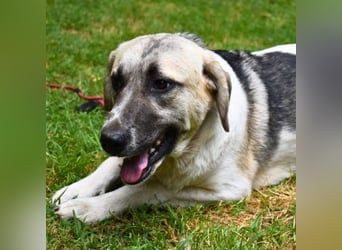 Skitter - Im gedimmten Licht, vor einer geschlossenen Tür