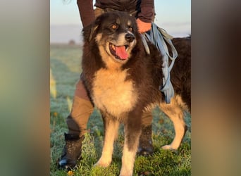 Kuno - Ein Ende in Sicht?