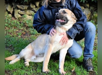 Joonas - wohin führt sein Weg?