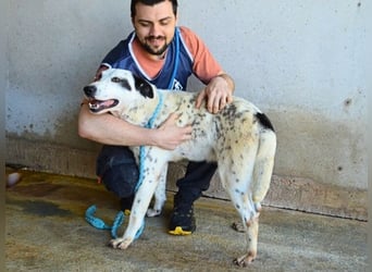 Arleene - ist voll bedingungsloser Liebe