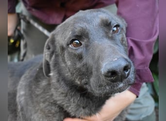 Godfried - When the night has come