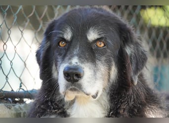 Kuno - Ein Ende in Sicht?