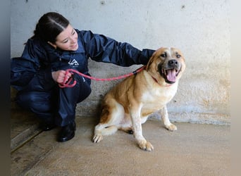 Savery - Drei Leben. Drei Chancen.