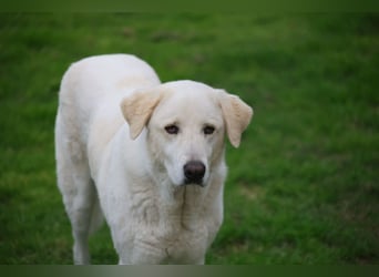 Clara - geht ihren Weg weiter