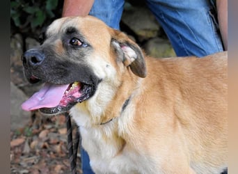 Joonas - wohin führt sein Weg?