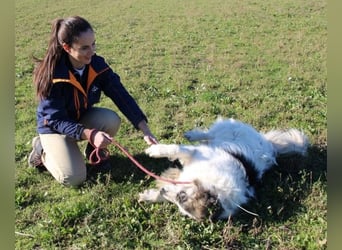 Poncio - wird zum Musterschüler