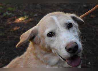 Islay - Menschenherzen-im-Sturm-Eroberer