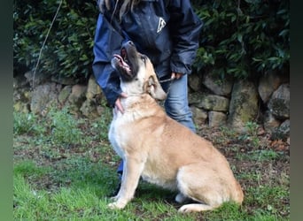 Joonas - wohin führt sein Weg?