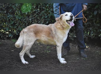 Islay - Menschenherzen-im-Sturm-Eroberer
